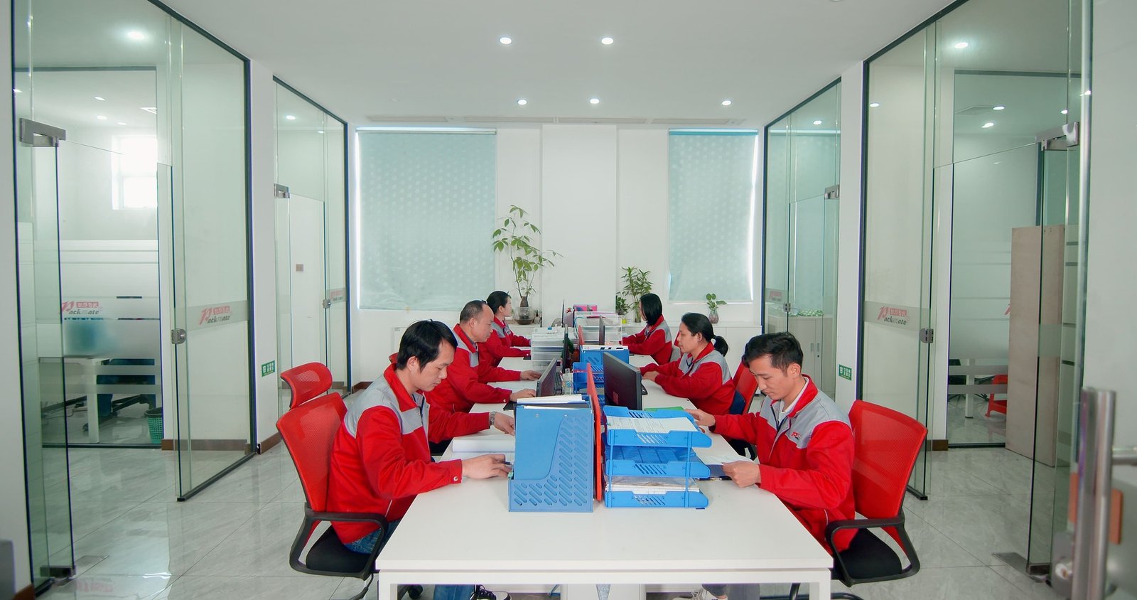 Triangle Tea Bag Packaging Machine Manufacturing